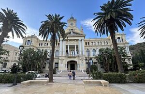 El Ayuntamiento plantará un árbol de porte medio en sustitución del ficus de la plaza Juan Ruiz Sánchez